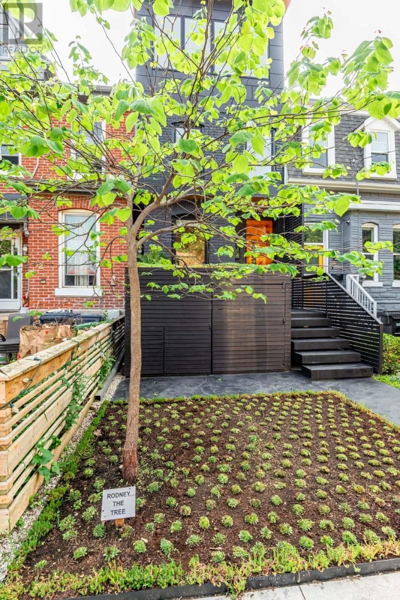 Photo of 44 MASSEY STREET