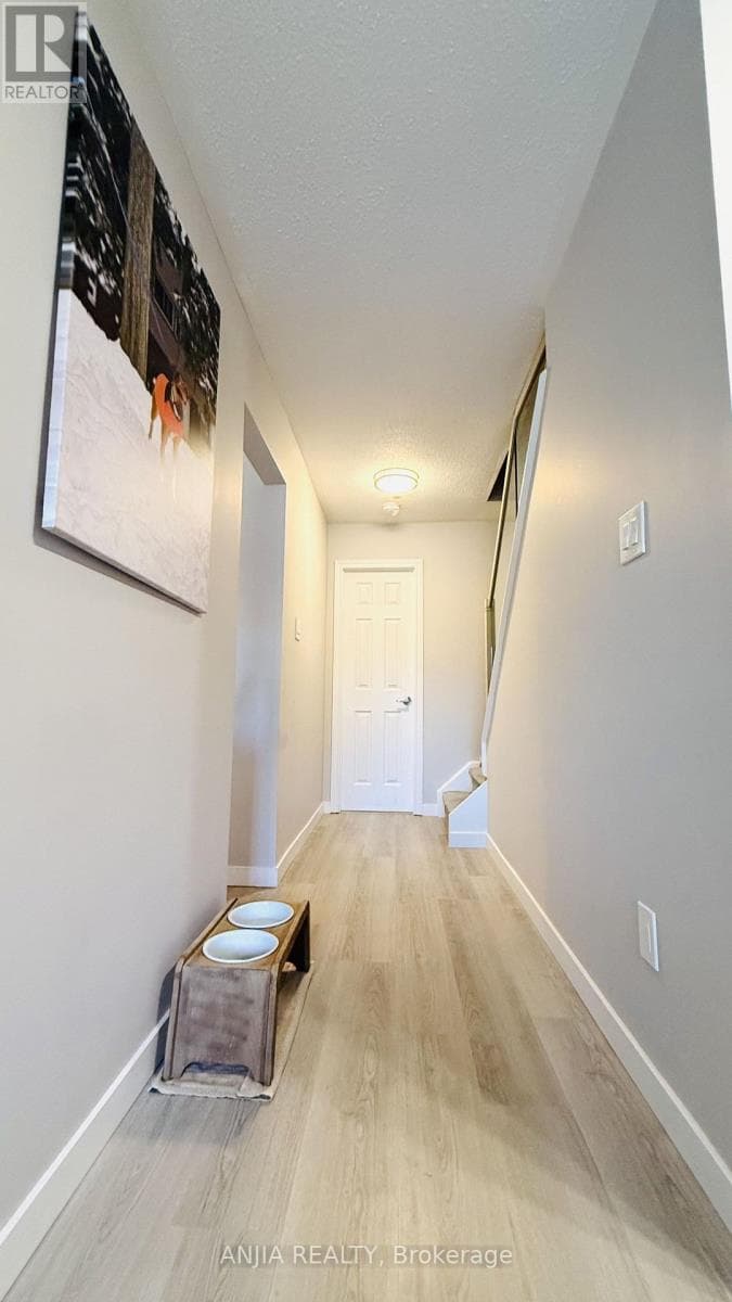 Photo of 7 PURPLE SAGEWAY
